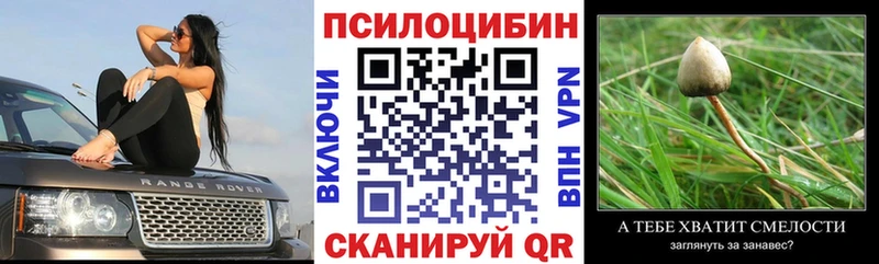 Галлюциногенные грибы прущие грибы  Купить  Торжок 