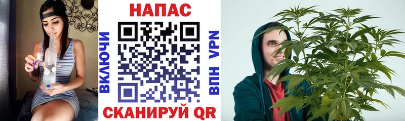 Бошки Шишки сатива  Купить где  Торжок 